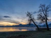 Zwei Bäume am Chiemseeufer kurz vor Sonnenaufgang